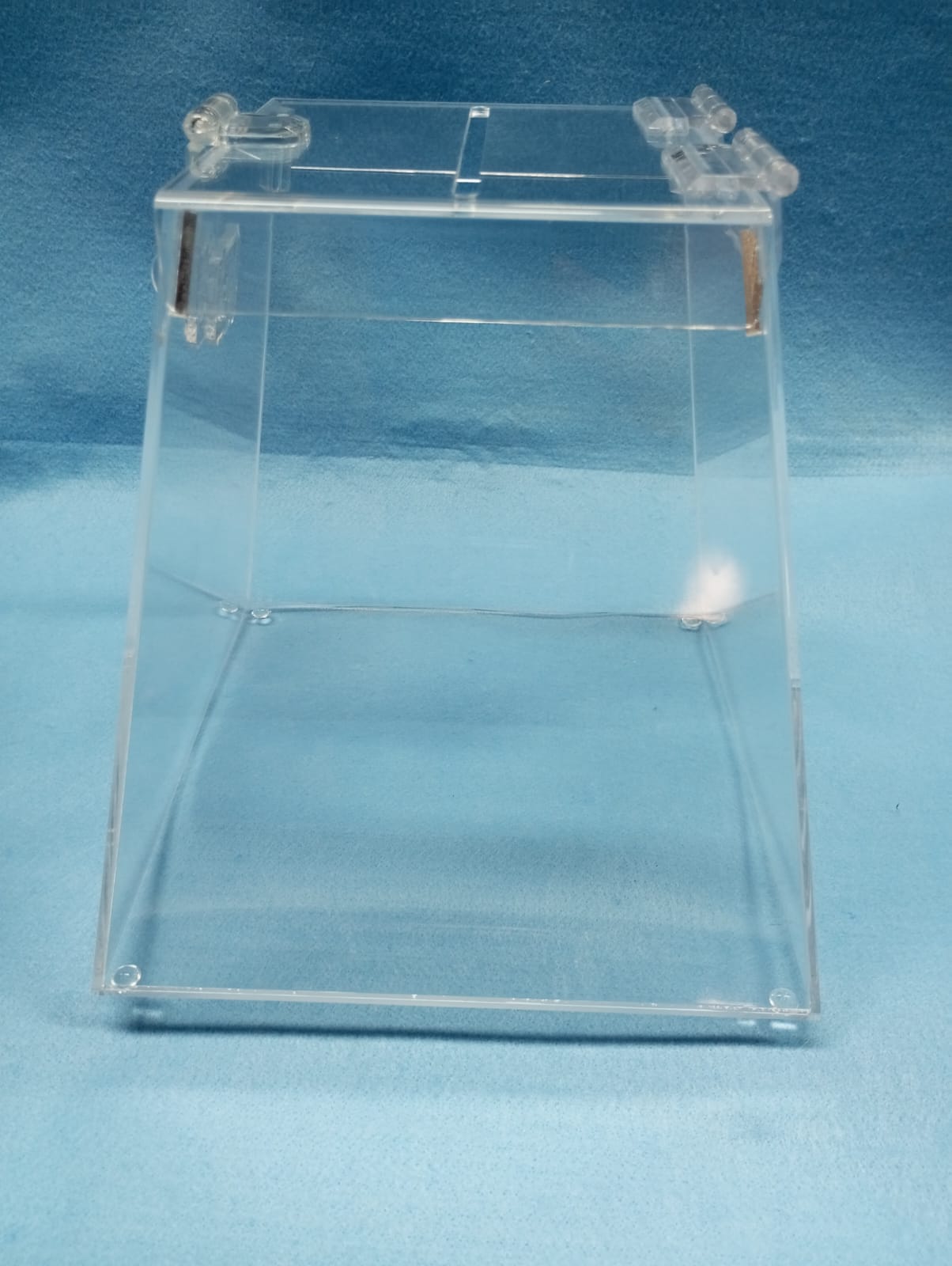 Urna de acrílico cristal - 20 cm de altura - (4)