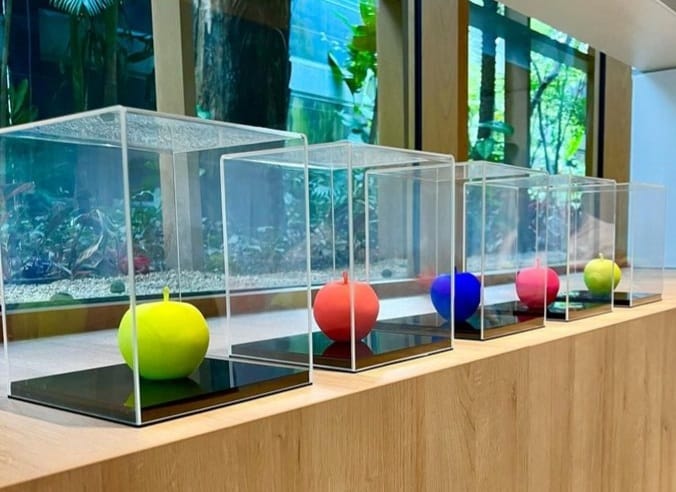 Caixa expositora (4)